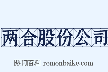 两合股份公司是什么意思的图片